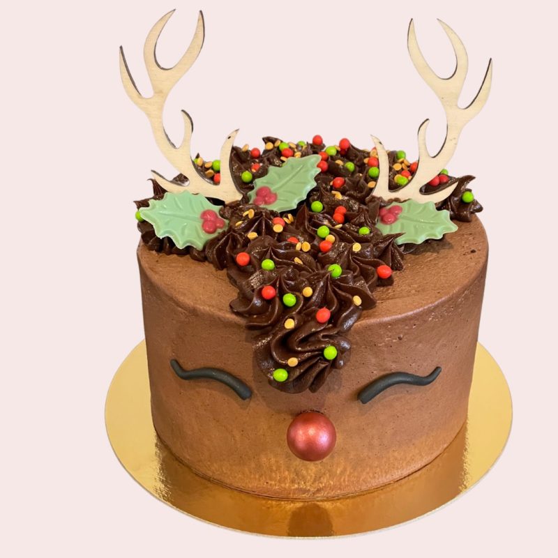 Rudolph cake 6/8p