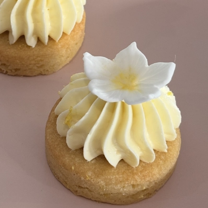Petit four | citroen slofje