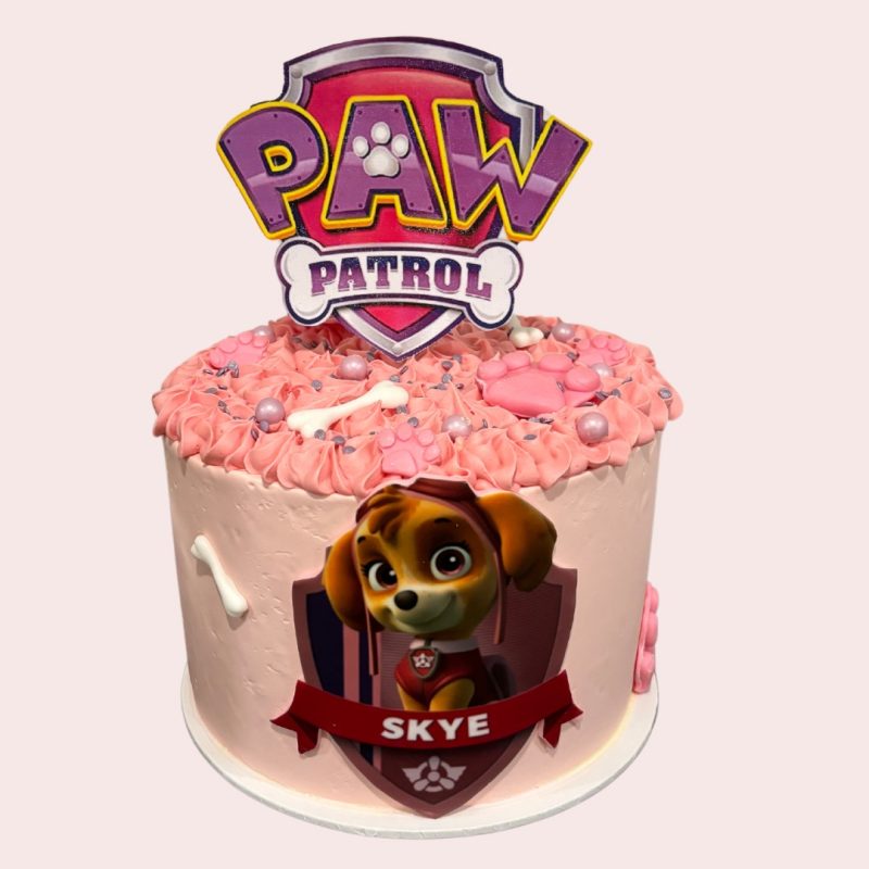 PAW patrol | Skye