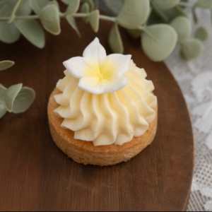 Petit four | citroen slofje